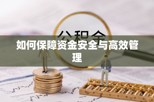 固始如何保障资金安全与高效管理