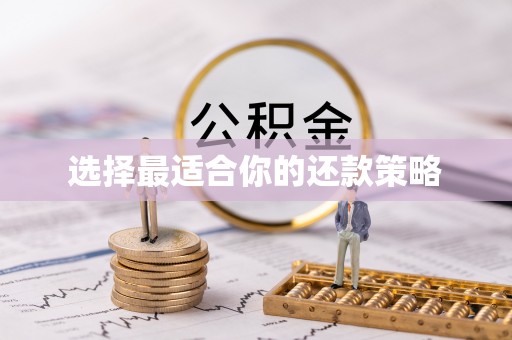 固始选择最适合你的还款策略